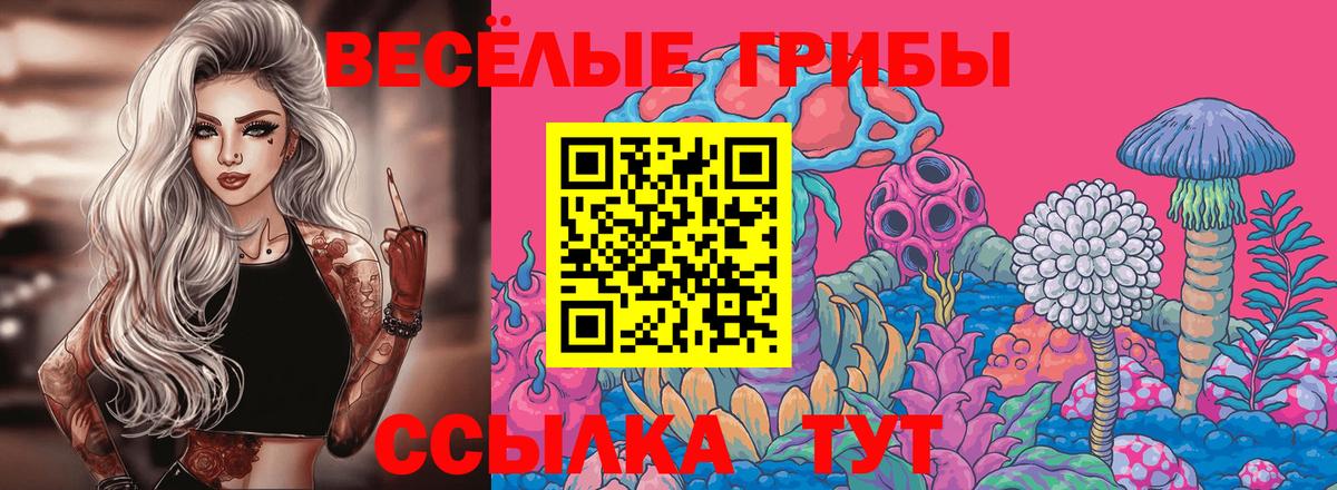 Дедовск  Псилоцибиновые грибы GOLDEN TEACHER  Вход с VPN  Псилоцибиновые грибы Cubensis 